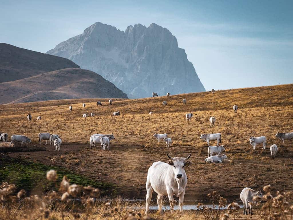 Campo Imperatore Abruzzen