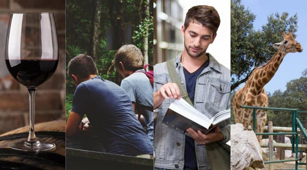 Italienische Artikel